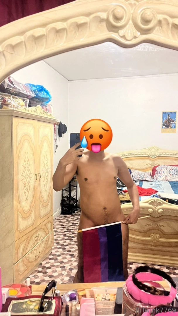 The last day of pride photo shoot 6 30 24 got the bi flag at my first 