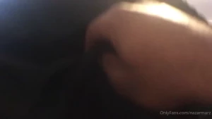 What s that noise obsidian-panther