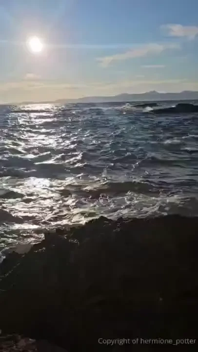 Just keep swimming just keep swimming just keep swimming swimming part 3 