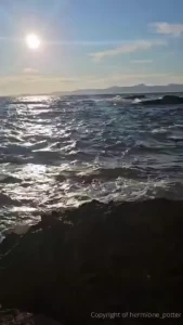 Just keep swimming just keep swimming just keep swimming swimming part 3