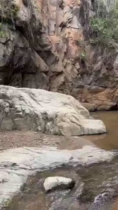 Follow what makes you feel alive 