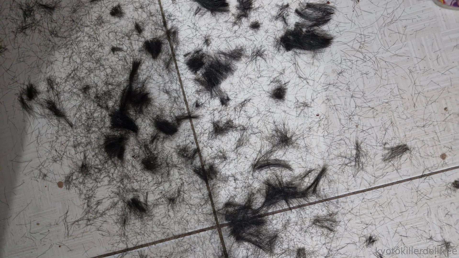 Servindo cabelo de plantinha pra voc s pela ltima vez porque agora t 