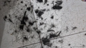 Servindo cabelo de plantinha pra voc s pela ltima vez porque agora t