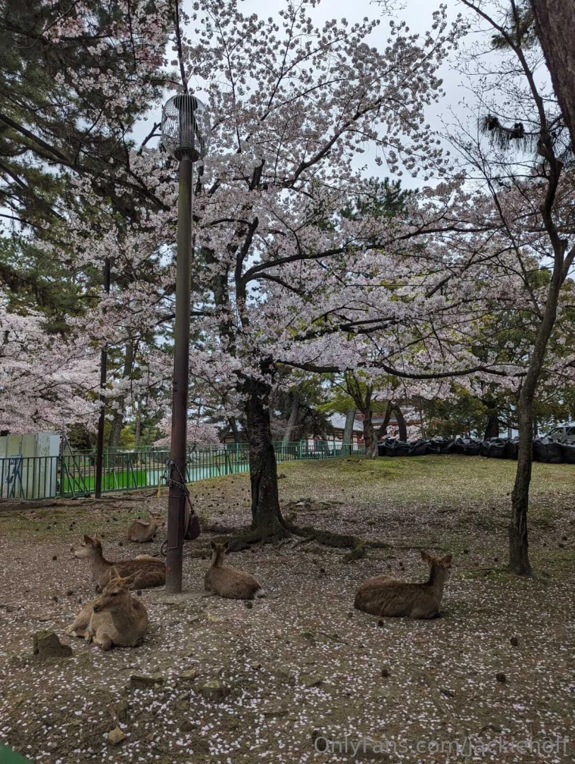 One of my favorite things i saw this year 2025 is almost here part 1 