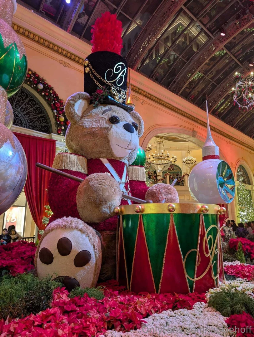 I went and checked out the bellagio garden and patisserie amazing 