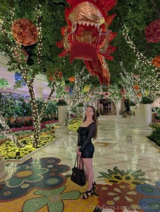 The wynn