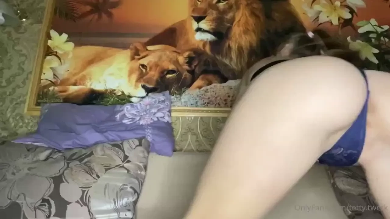 Good night part 2533 