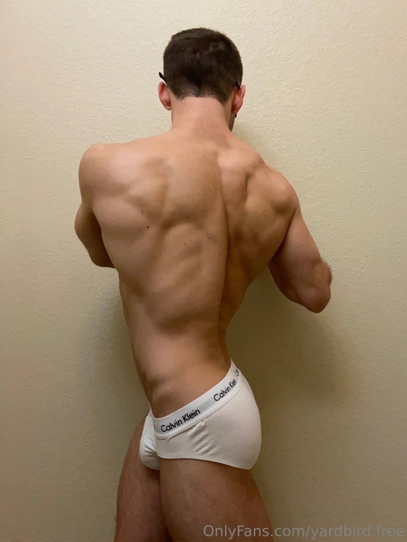 Yardbird-free part 2 