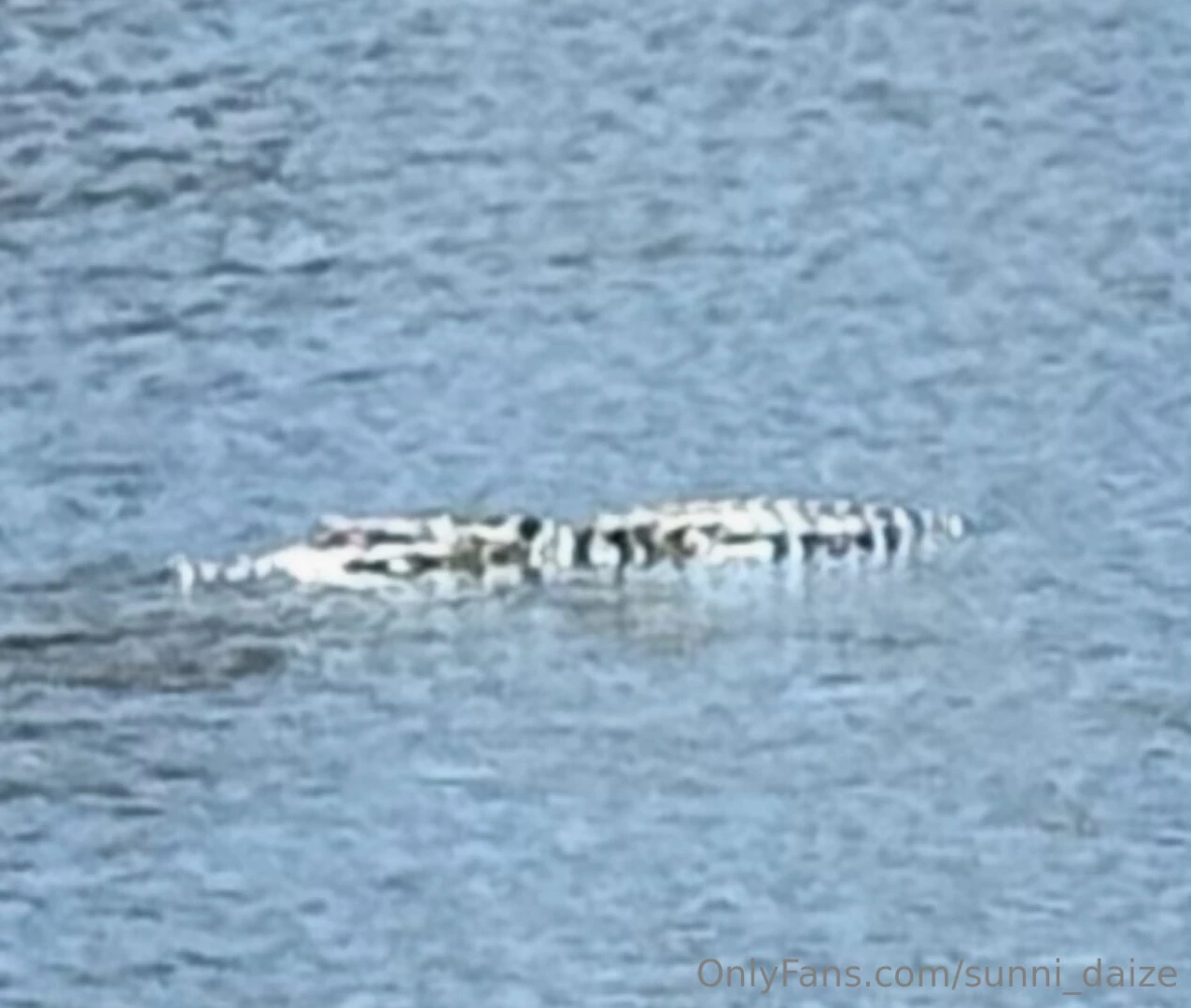 What do you think that this perv was looking at part 1 