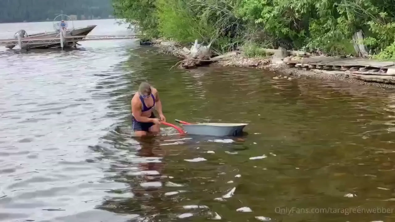 Just another day at the lake 