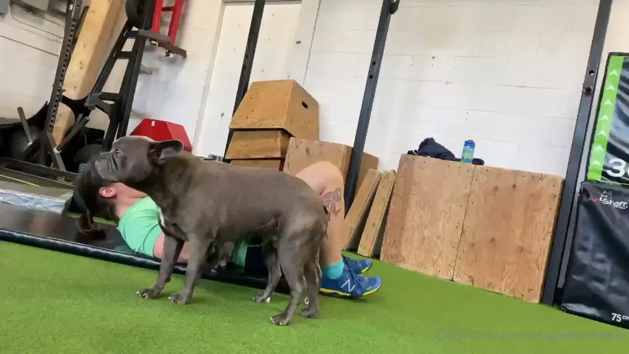 Disc hamstring curls 