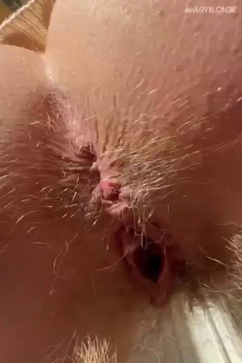 My hairy holes are just begging to be fucked hairyass hairypussy bush 