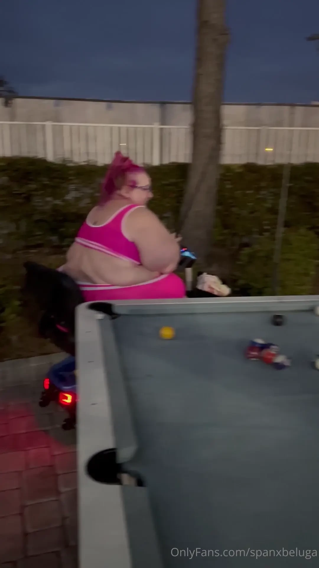 On vacation the resort has a whale infestation what should i film on 