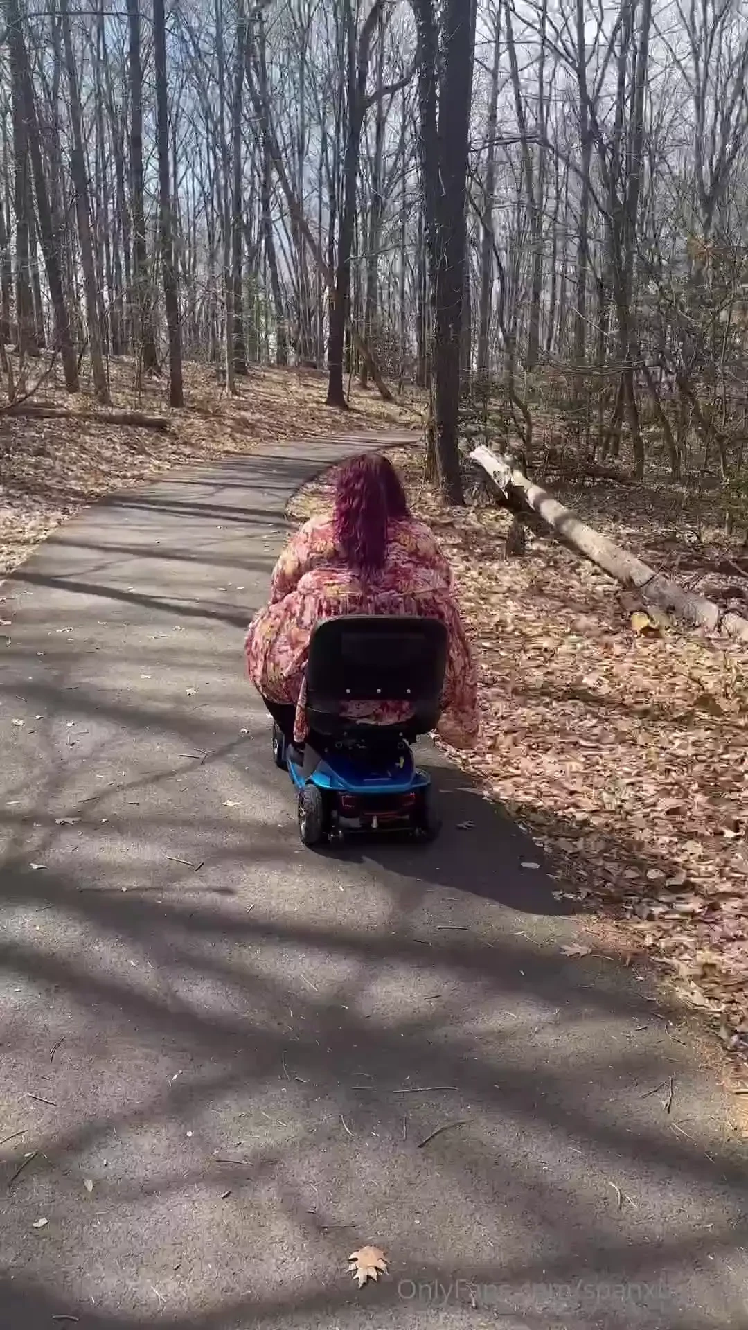 Imagine you jogging on a trail and you see me out on a nice day just 