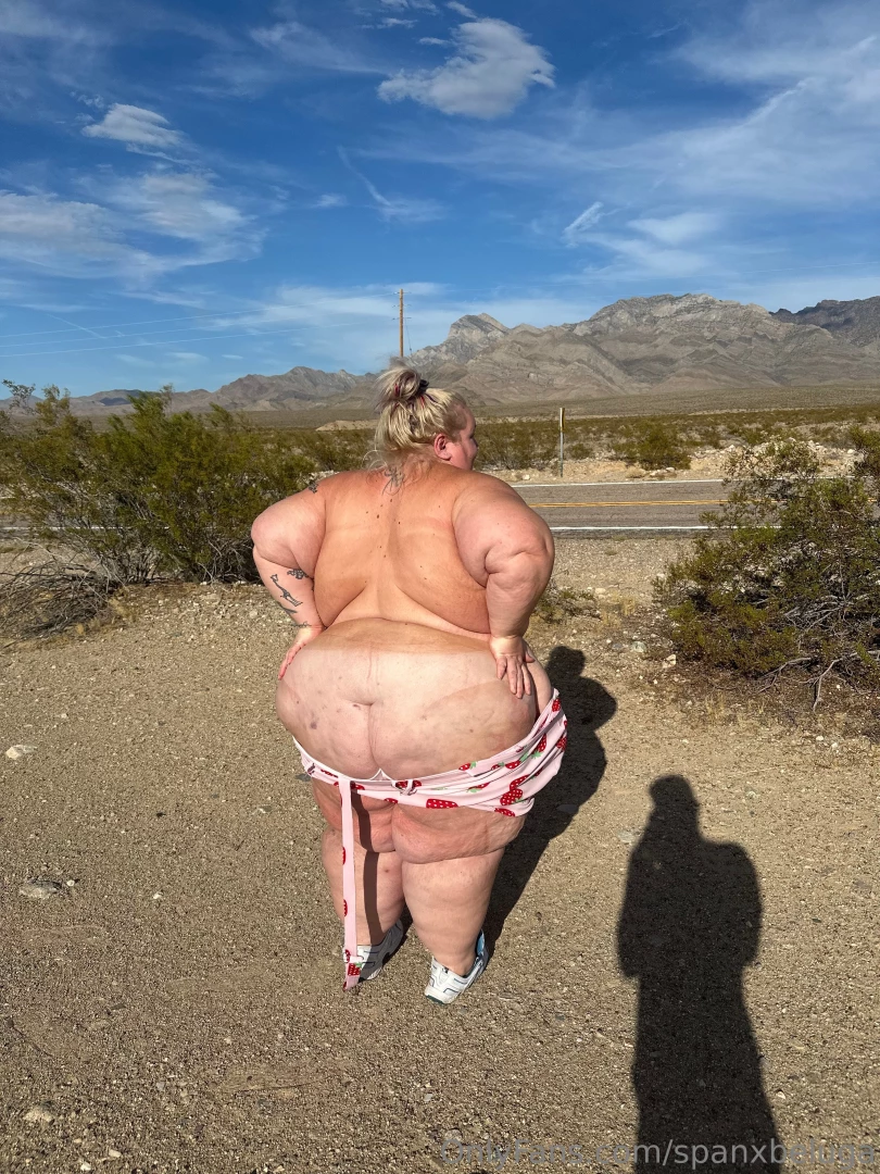 A little roadside flashing never hurt anyone part 3 