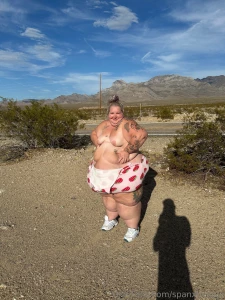 A little roadside flashing never hurt anyone part 2