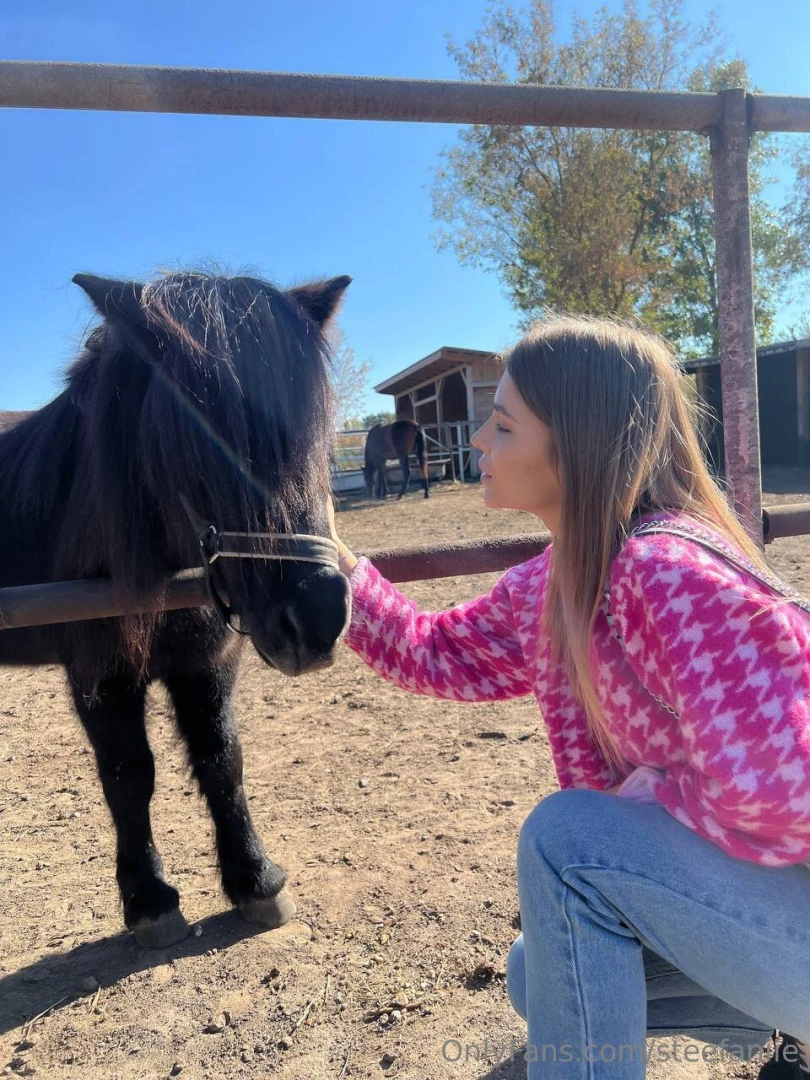 Incredible energy from these beautiful animals if i could - i would 