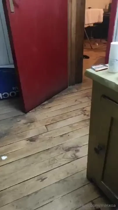 Por ahora les dejo algo de mi mascota 