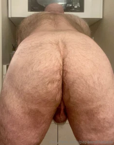 Bear ass part 5