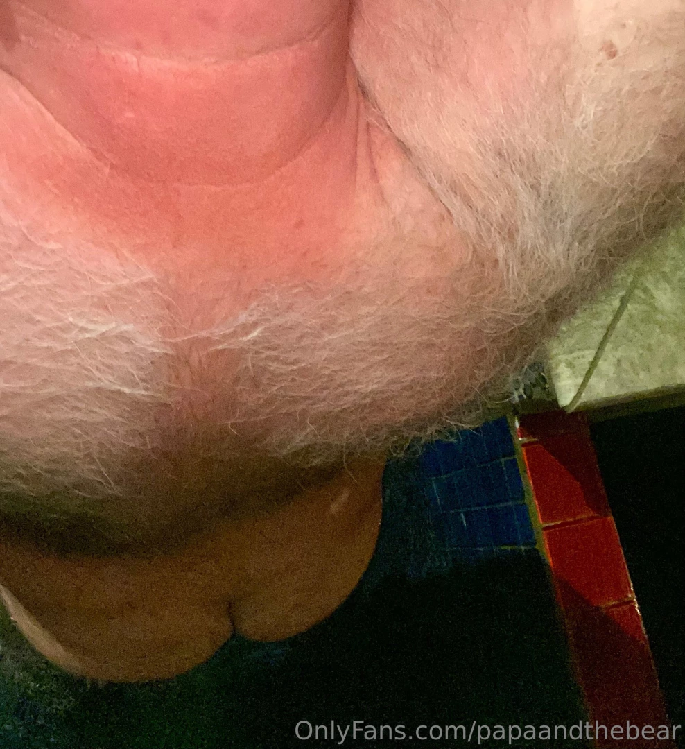 Bear ass part 8 