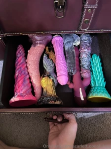 Organized my treasure chest of debauchery let me know if you see part 1