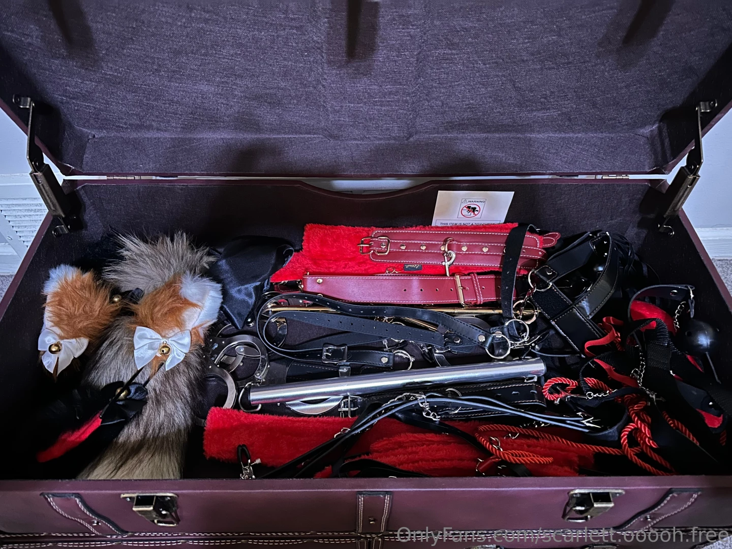 Organized my treasure chest of debauchery let me know if you see part 2 