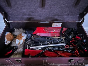 Organized my treasure chest of debauchery let me know if you see part 2