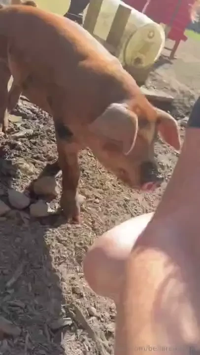 Just incase you are wondering what i m doing when i m not up here i 