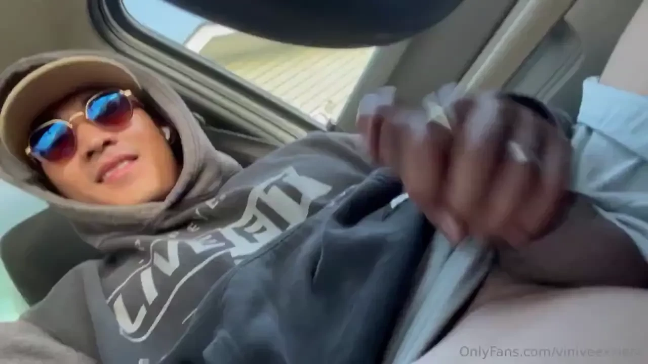 Taking applications for a passenger that will handle my stick while i 