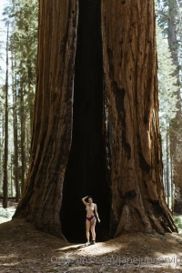 Janejupitervip part 75