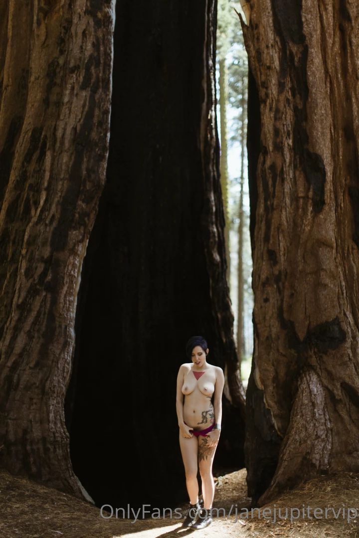 Sequoia national park part 5 