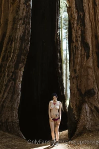 Sequoia national park part 5