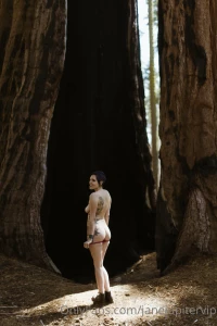 Sequoia national park part 20