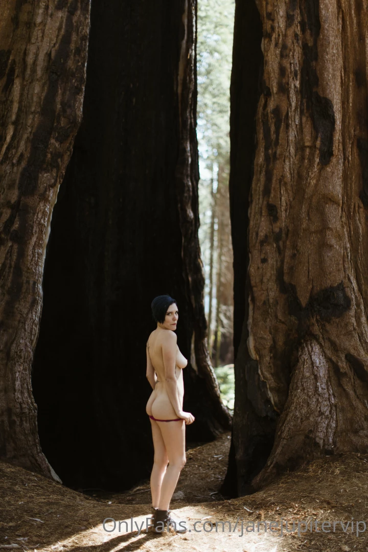 Sequoia national park part 15 