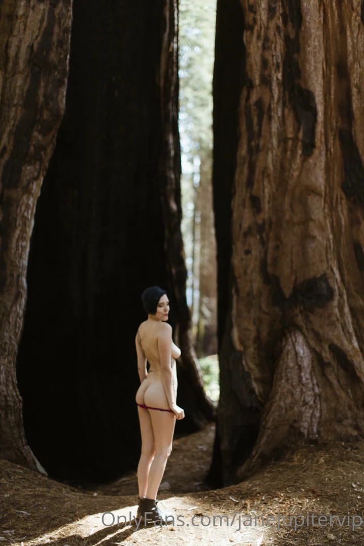 Sequoia national park part 27 