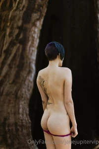 Sequoia national park part 16