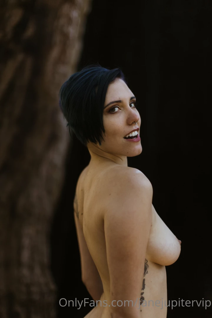 Sequoia national park part 17 