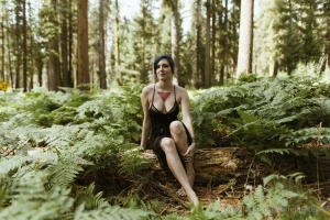 Sequoia national park part 10