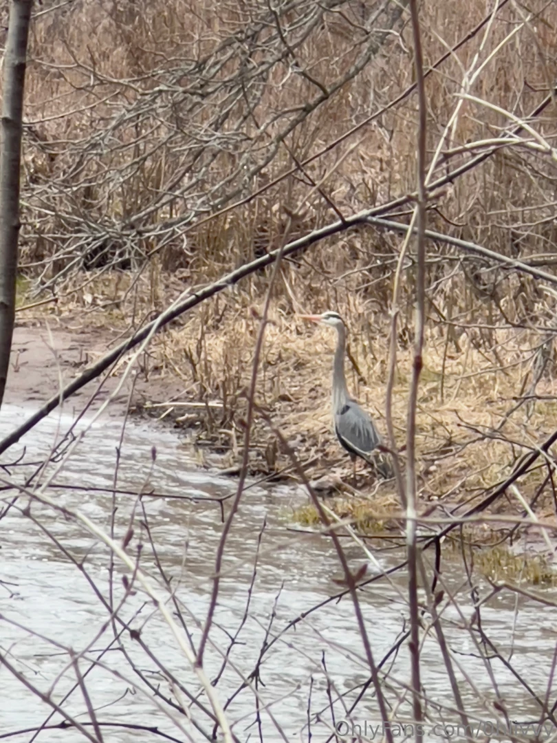 I went out for a walk should i post more casual blog type posts like part 1 