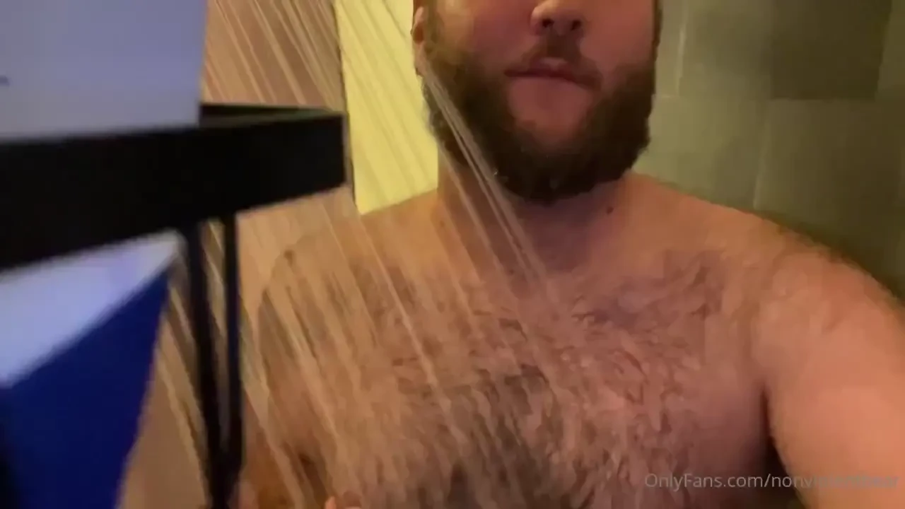 Nonviolentbear part 159319 