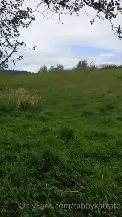 Taking y all on a little walk with me just us alone with the trees 