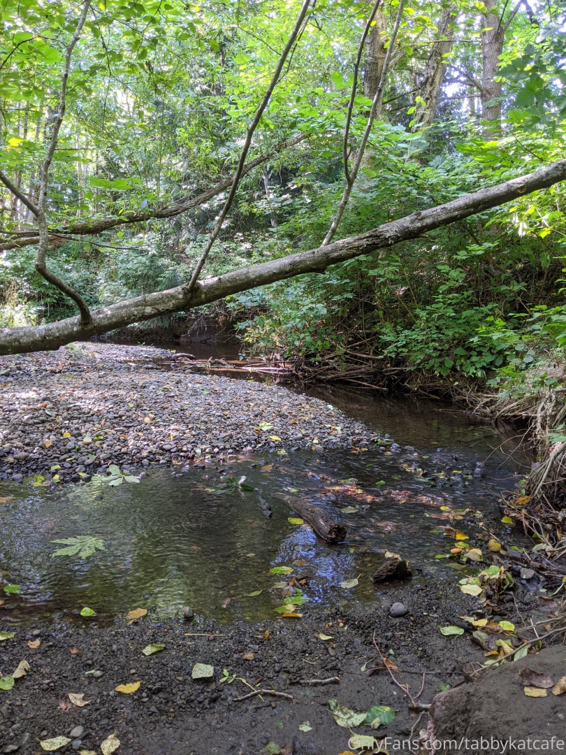 Upskirts in the great outdoors 