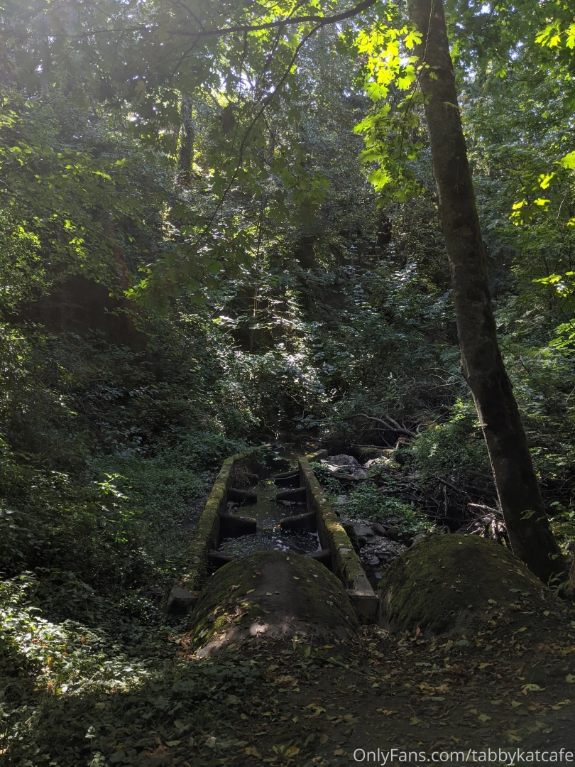 Upskirts in the great outdoors part 1 