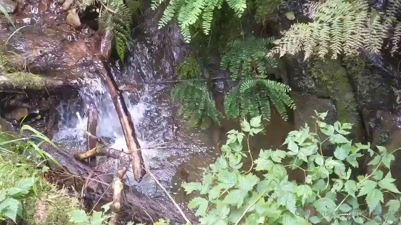 Sunshine and waterfalls 