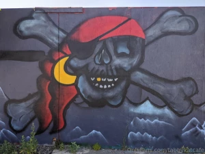 Some cool street art i found in the wild i love murals