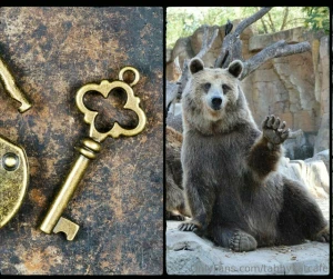 Escape room date or zoo date