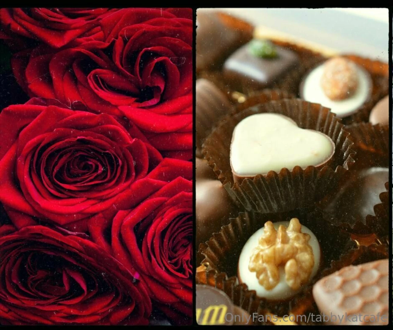 Roses or chocolates 