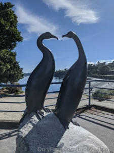 A day spent by the beach on vacation who would take a dip with me part 1