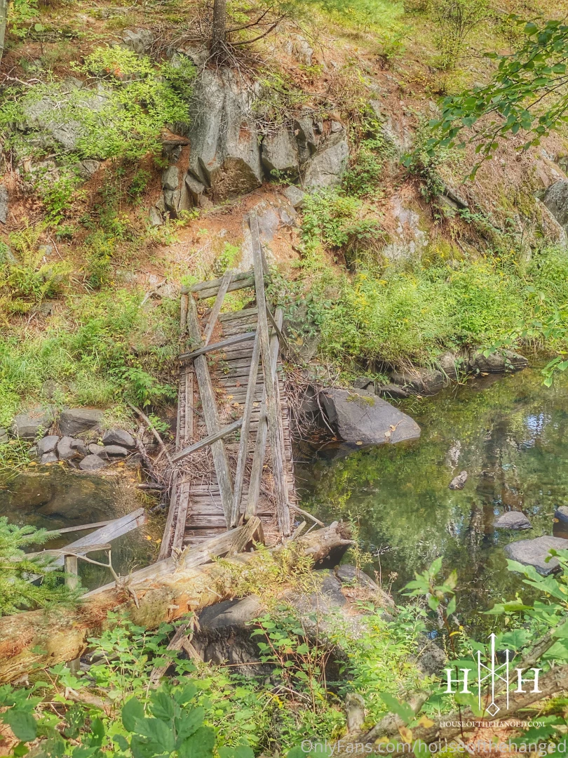 A freebee for you guys sir has always really been into wilderness part 4 