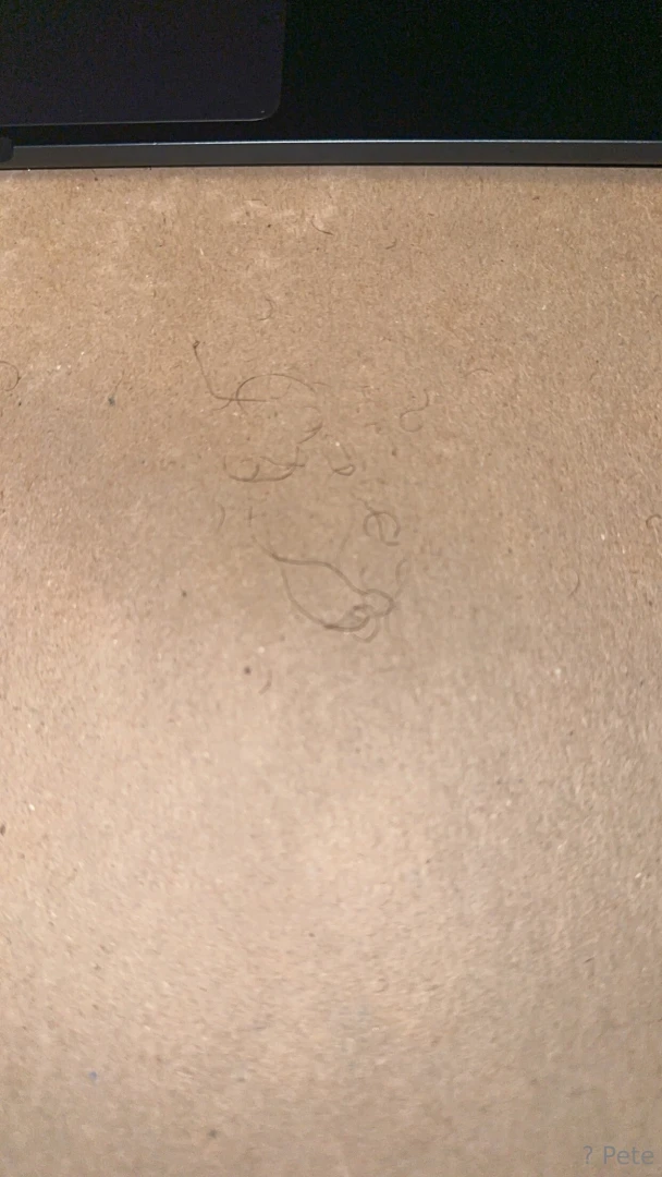 Do you wanna play with my pubes 